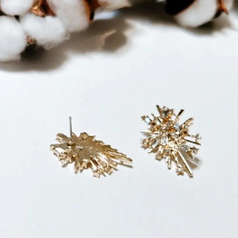 Sun radiant earrings #1474